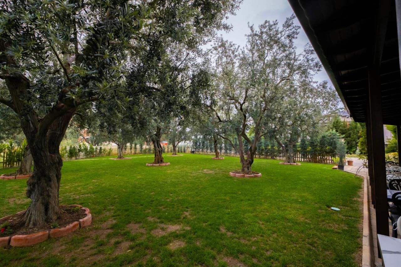Eleia Hotel İznik Bursa Dış mekan fotoğraf